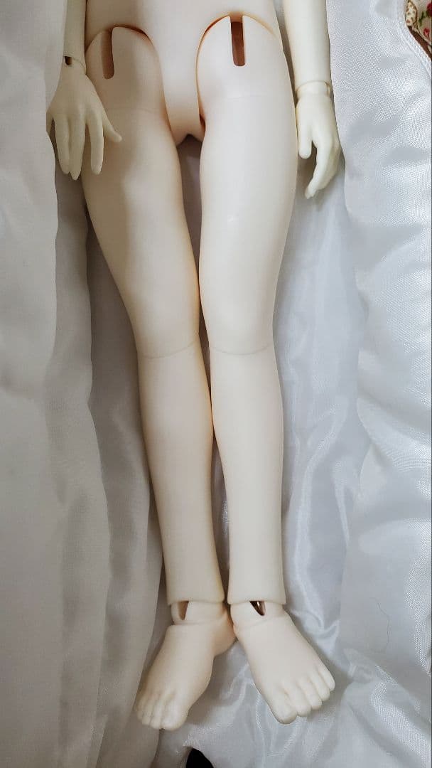 ｄｏｌｋ ４０／４５ｂｏｄｙ