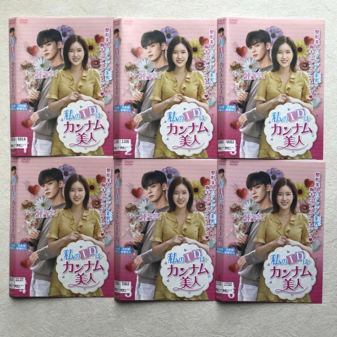 私のIDはカンナム美人 DVD 全12巻　 全巻