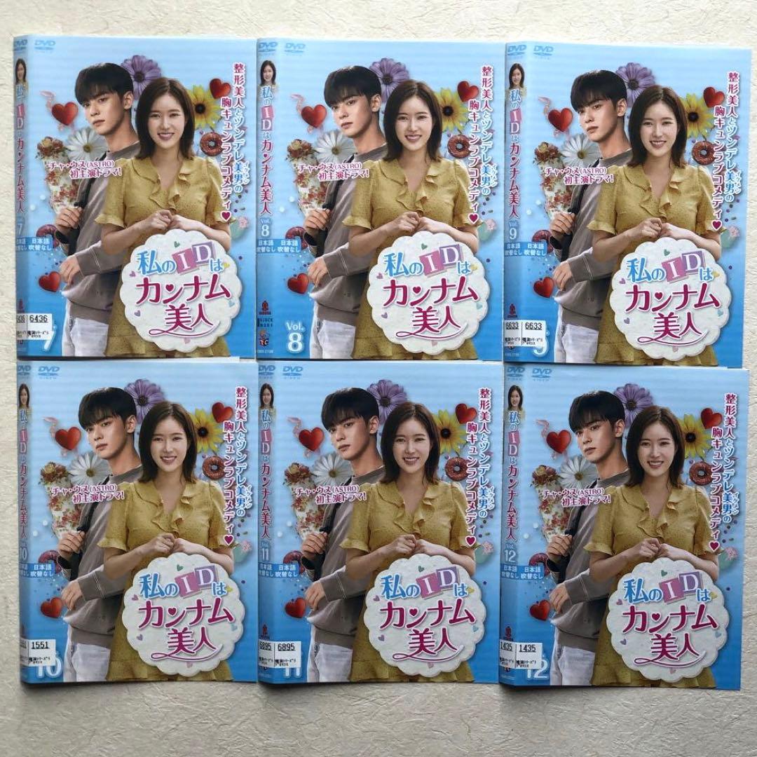 私のIDはカンナム美人 DVD 全12巻　 全巻