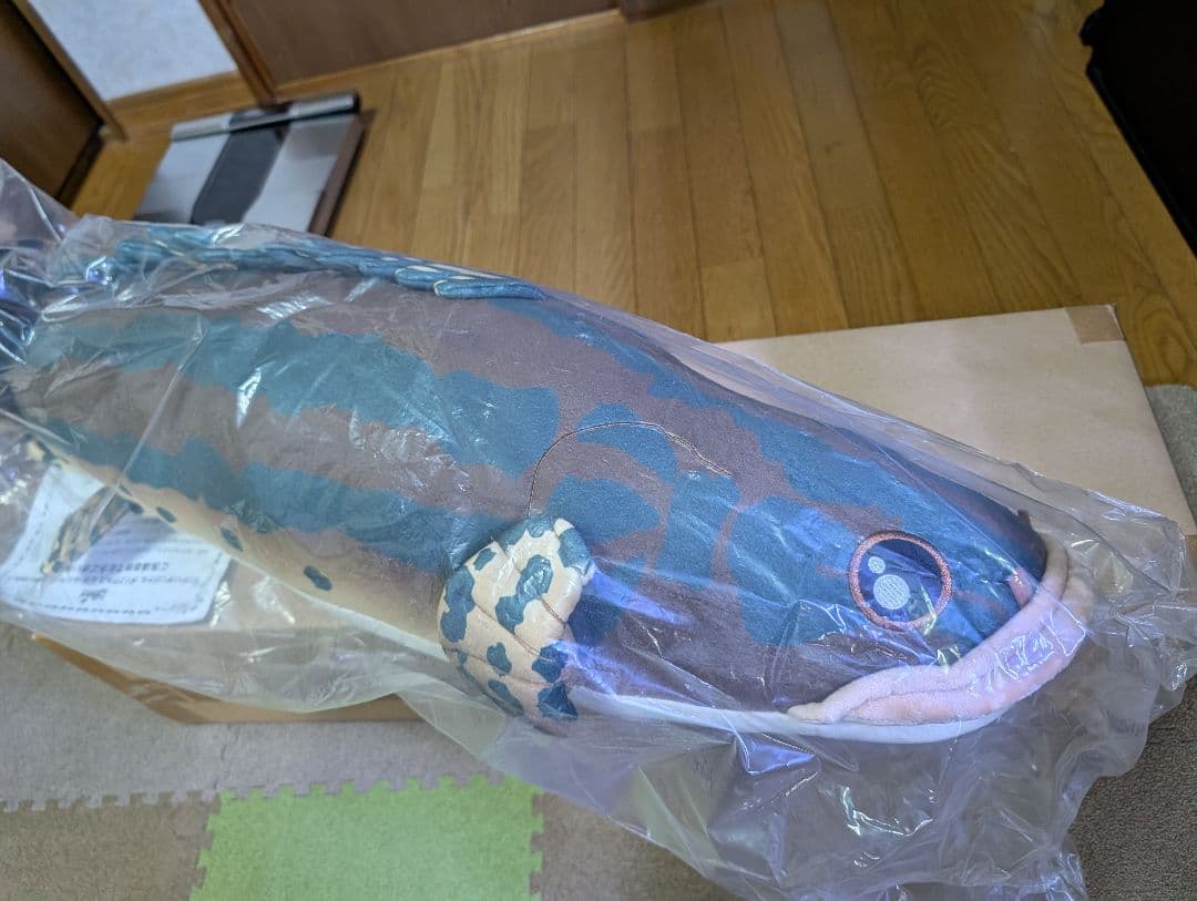 キョーリン　ポリプテルスビキールビキール抱きぐるみ 100cm　ぬいぐるみ