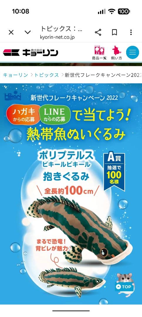 キョーリン　ポリプテルスビキールビキール抱きぐるみ 100cm　ぬいぐるみ