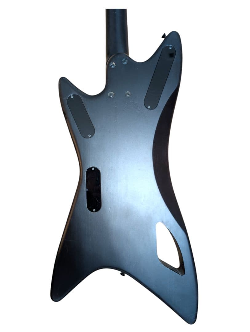 【超希少】EDWARDS E-RM-BLAIKUTRON Dragon Ash