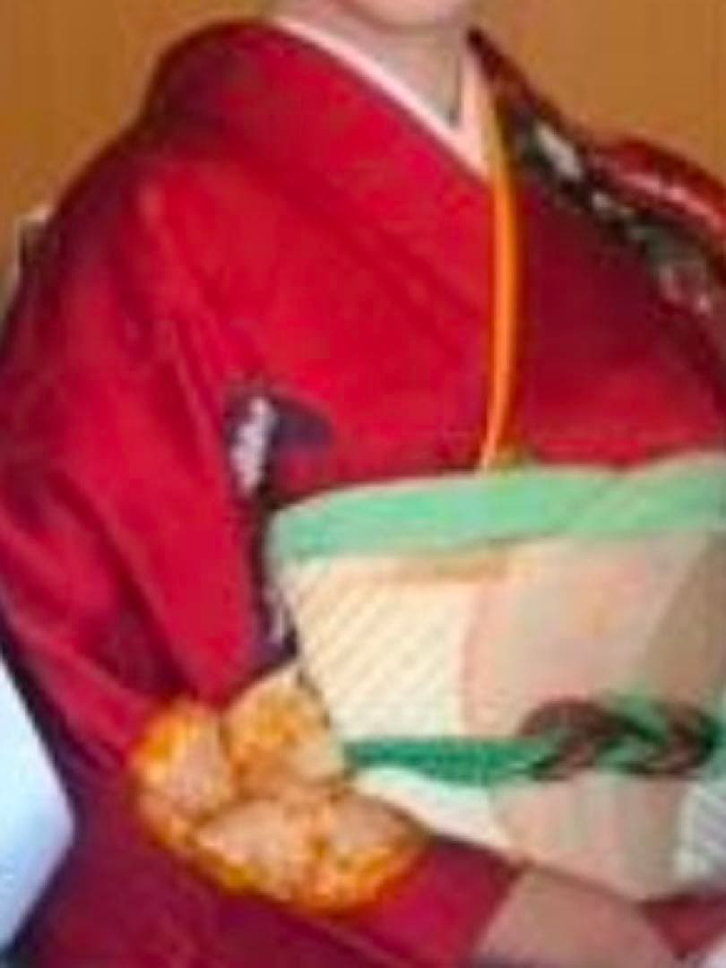 正絹 中振袖・長襦袢・袋帯（帯揚げ・帯締め付き）豪華フルセット