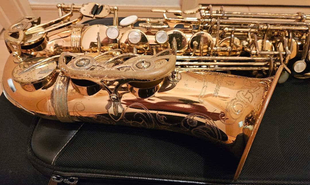 【Yanagisawa A-WO20】 ヤナギサワ アルトサックス