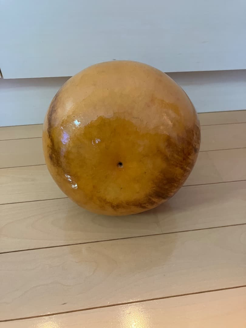 イプ　楽器　フラダンス