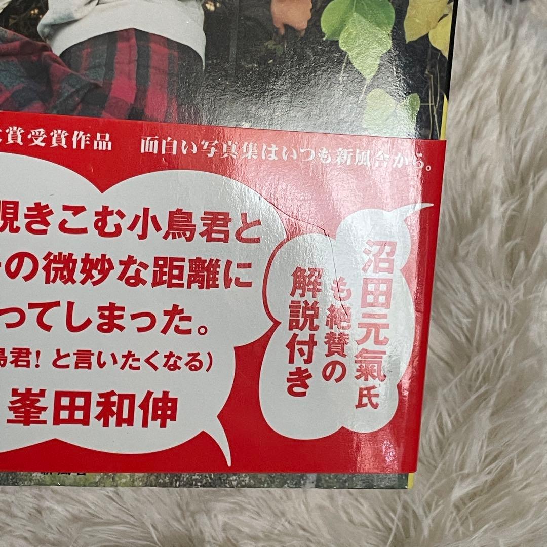 【初版】川島小鳥 BABY BABY 写真集 2007年 【美品】