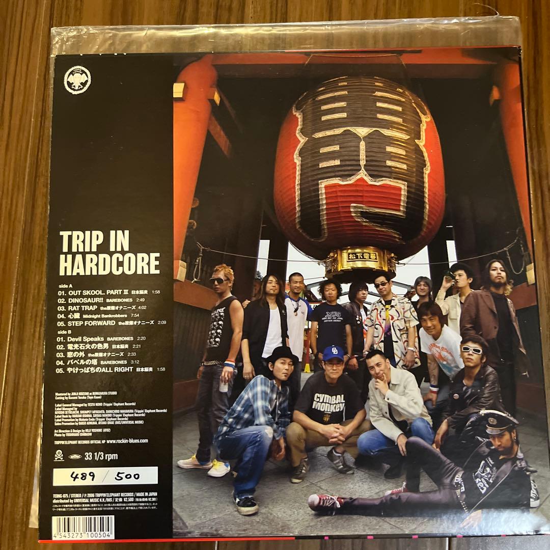 TRIP IN HARDCORE 邦楽 レコード　限定500枚　激レア　日本脳炎