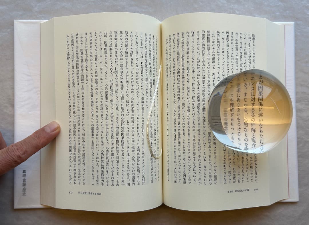 ドナルド・デイヴィドソン『真理・言語・歴史』、春秋社、2010年。