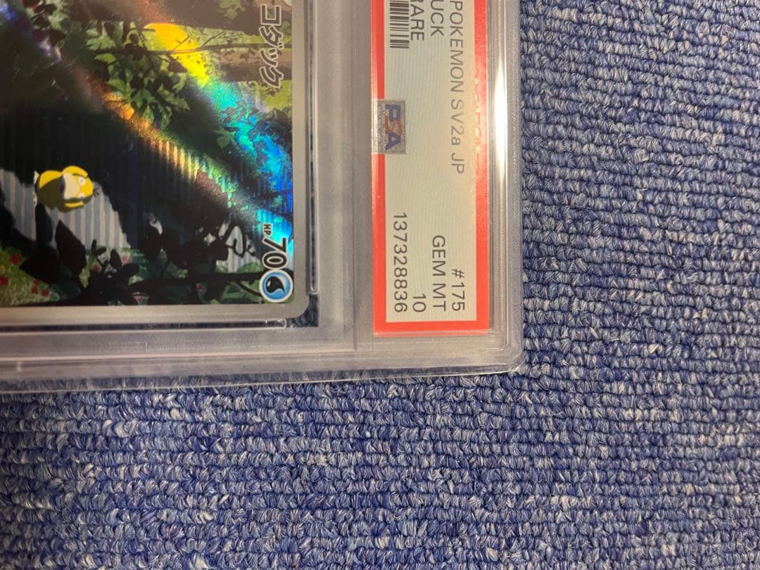 @sano コダック AR PSA10
