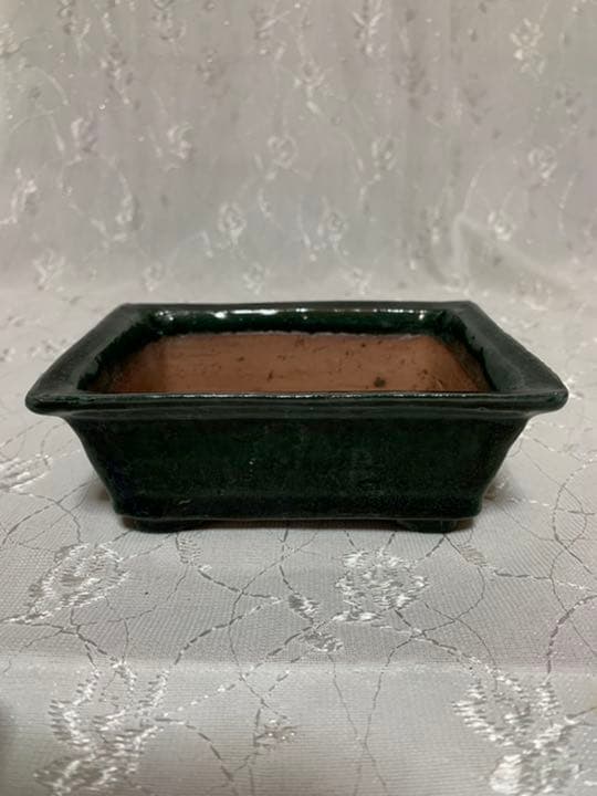 秀峰　盆栽鉢
