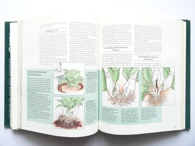 洋書◆ガーデニング写真集 本 植物 花 庭