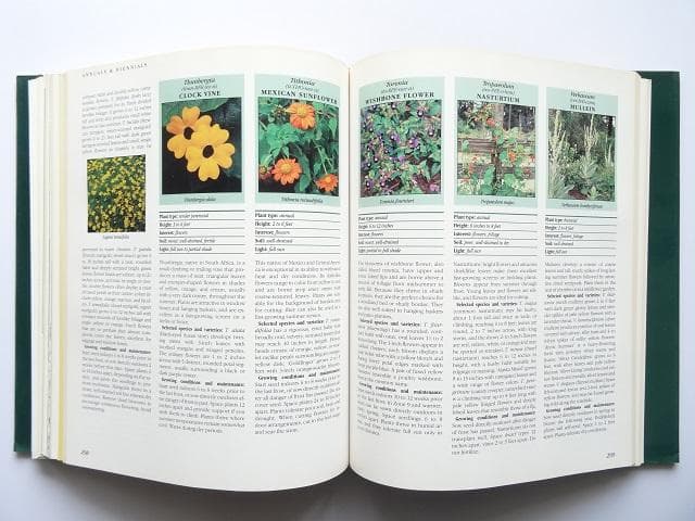 洋書◆ガーデニング写真集 本 植物 花 庭
