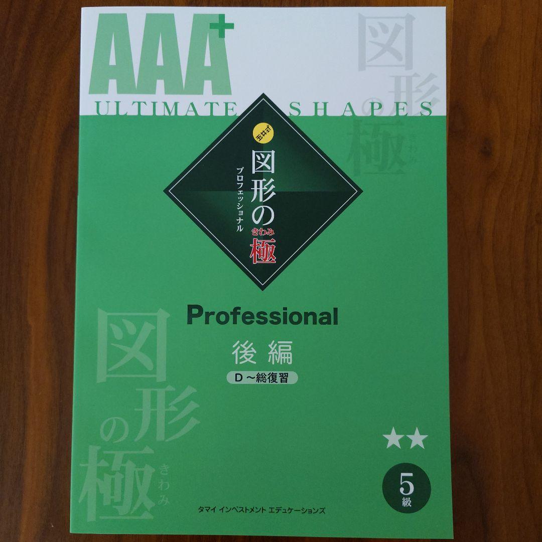 AAA+ 図形の極 プロフェッショナル 5級