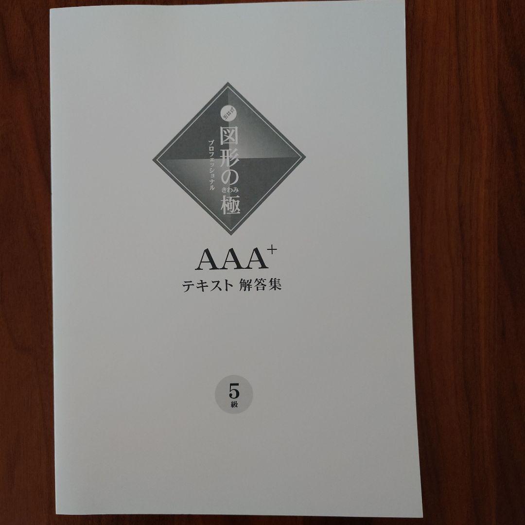 AAA+ 図形の極 プロフェッショナル 5級