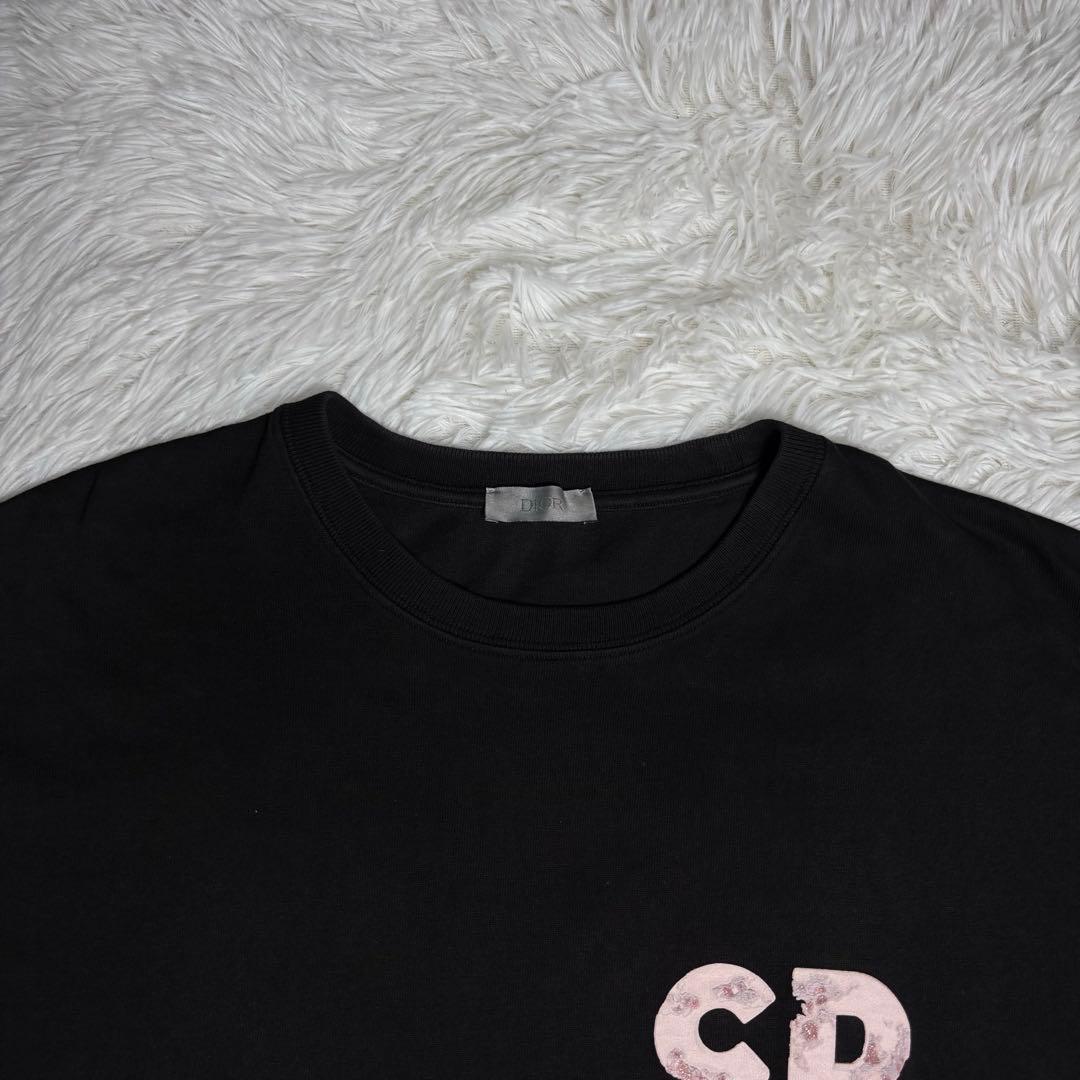✨極美品✨　DIOR ディオール　半袖Tシャツ　ブラック　黒　箱付き　461