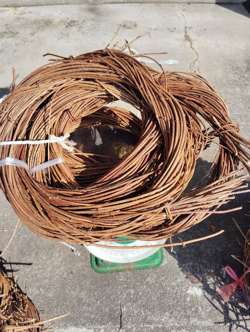 あけびのつる　1.3Kg