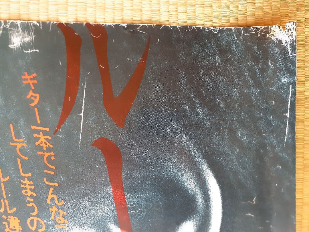 長渕剛　ステイドリーム　ポスター