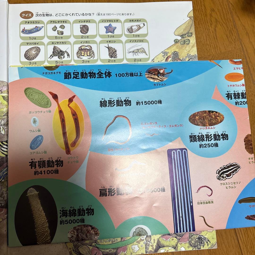 小学館の図鑑NEO　小学館の子ども図鑑プレNEO　計14冊セット