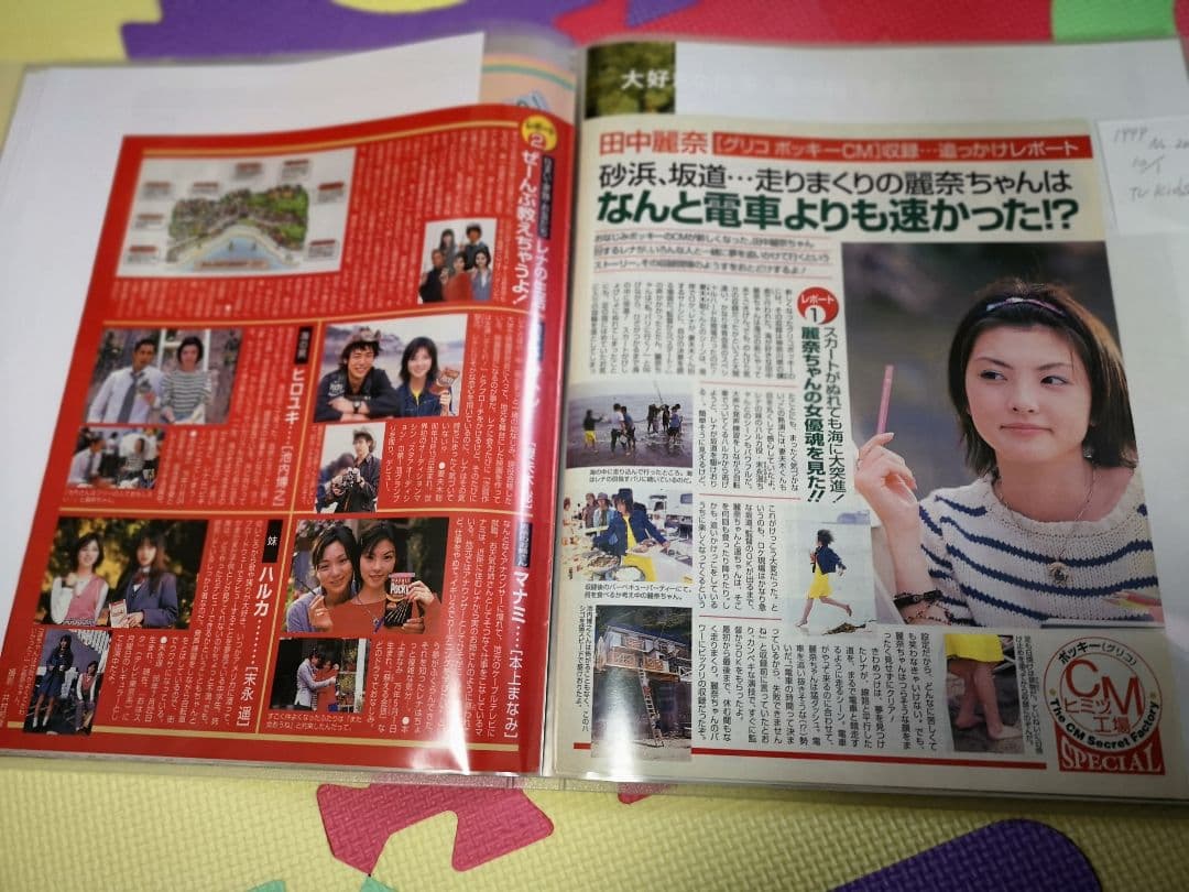 田中麗奈(1冊200円計算)89冊分419ページ切り抜きしファイリング済み