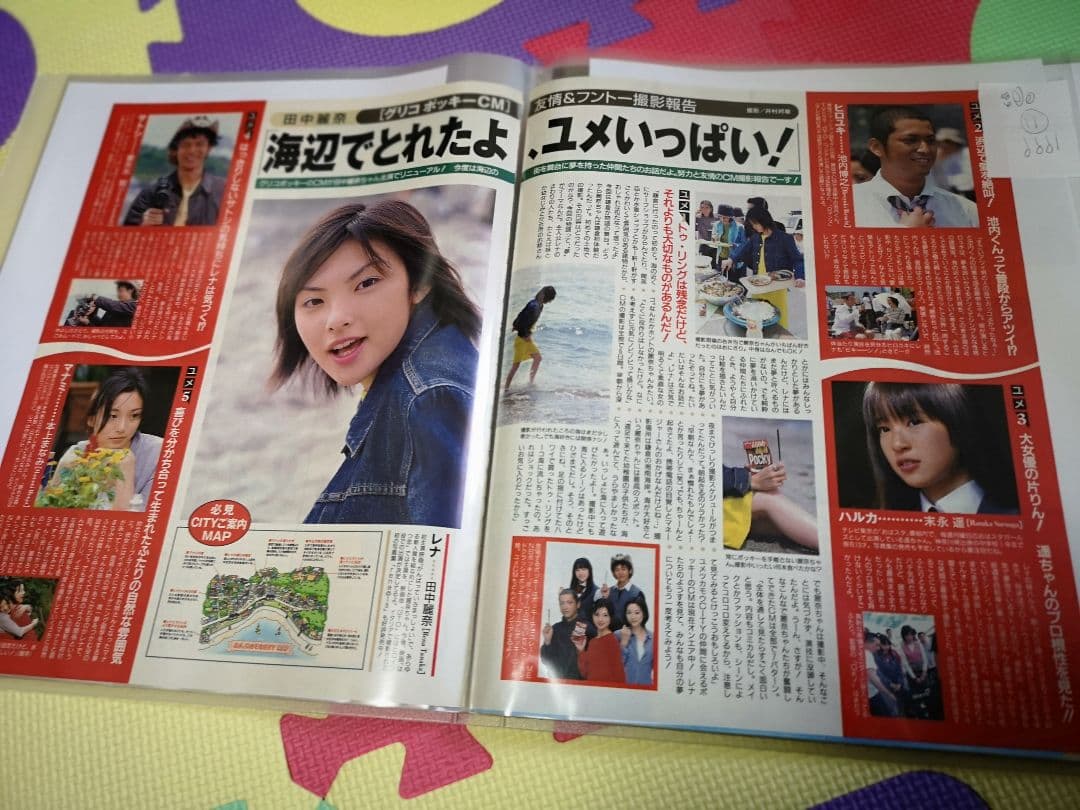田中麗奈(1冊200円計算)89冊分419ページ切り抜きしファイリング済み