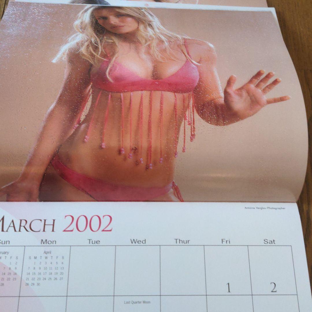 Daniela Pestova Calendar　2002