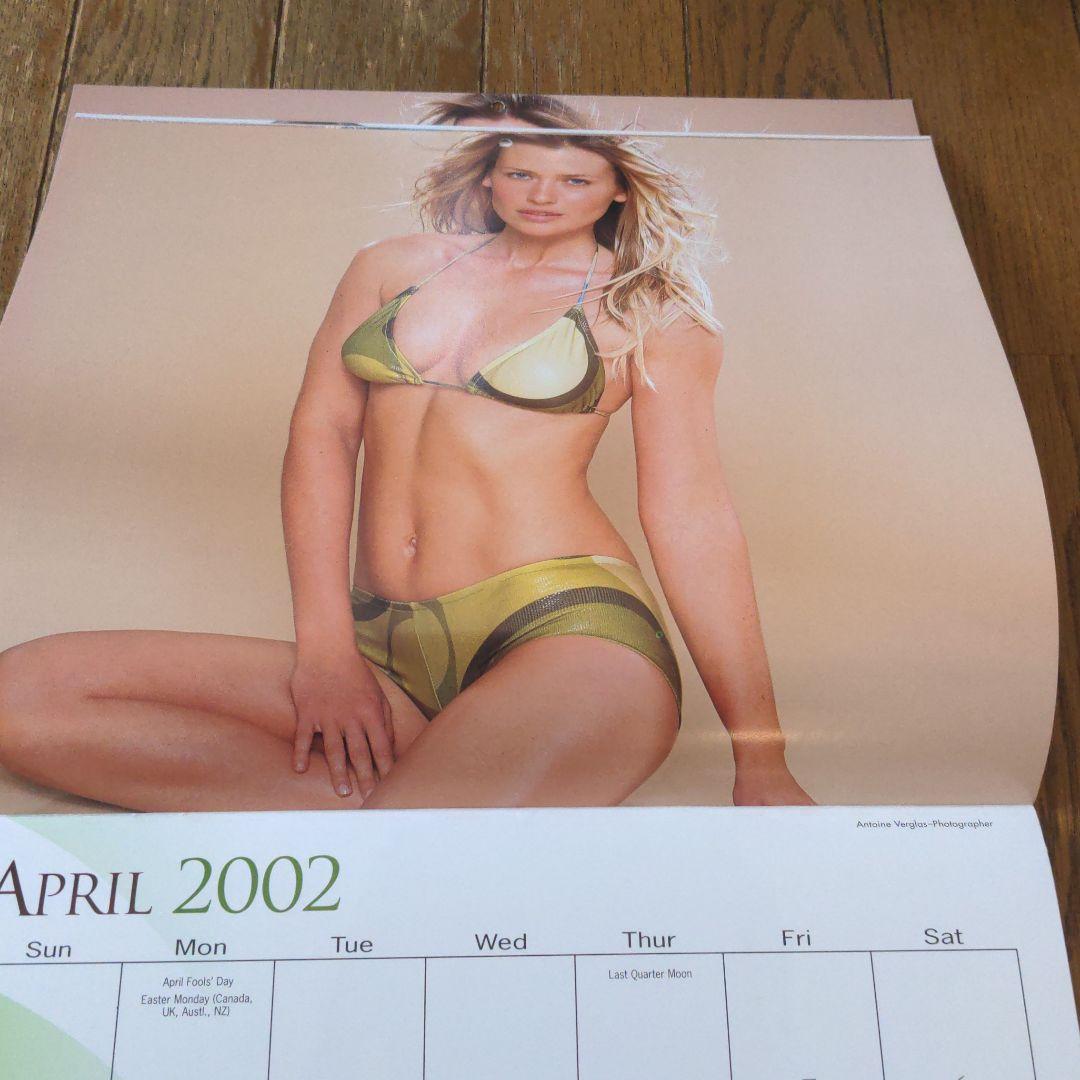 Daniela Pestova Calendar　2002
