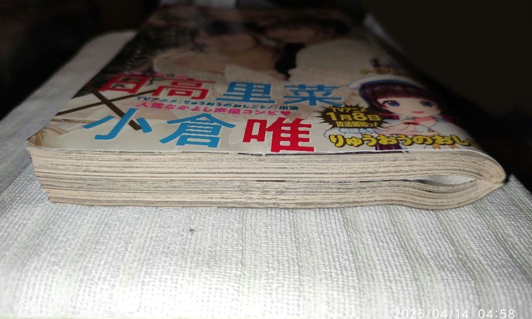 ヤングガンガン 2018年 1/19号 No.02 付録付き