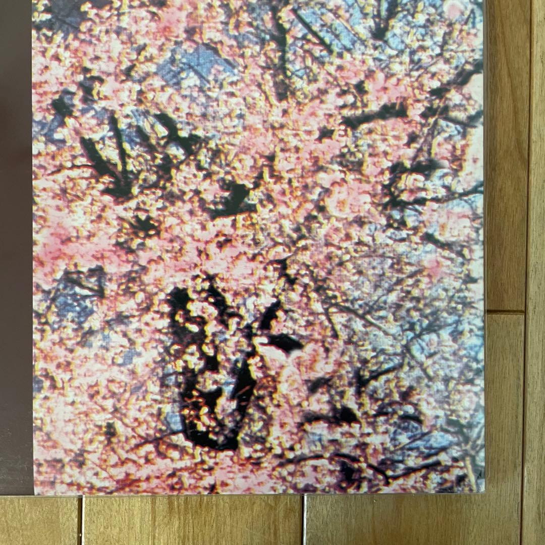 おまけ付き サニーデイ・サービス 東京 LP アナログ盤 未開封