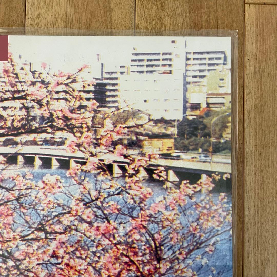 おまけ付き サニーデイ・サービス 東京 LP アナログ盤 未開封