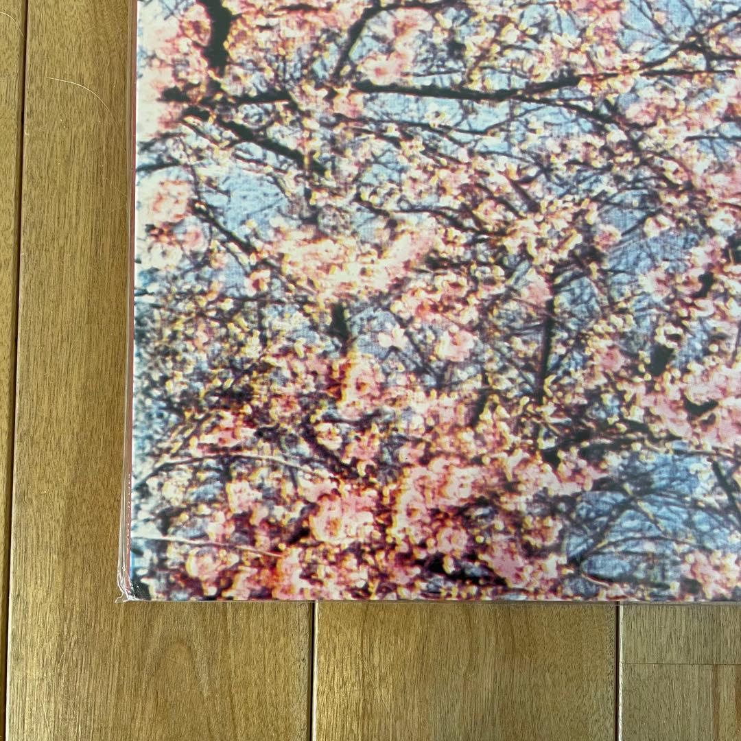 おまけ付き サニーデイ・サービス 東京 LP アナログ盤 未開封