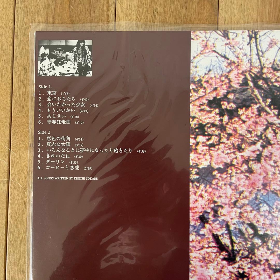 おまけ付き サニーデイ・サービス 東京 LP アナログ盤 未開封