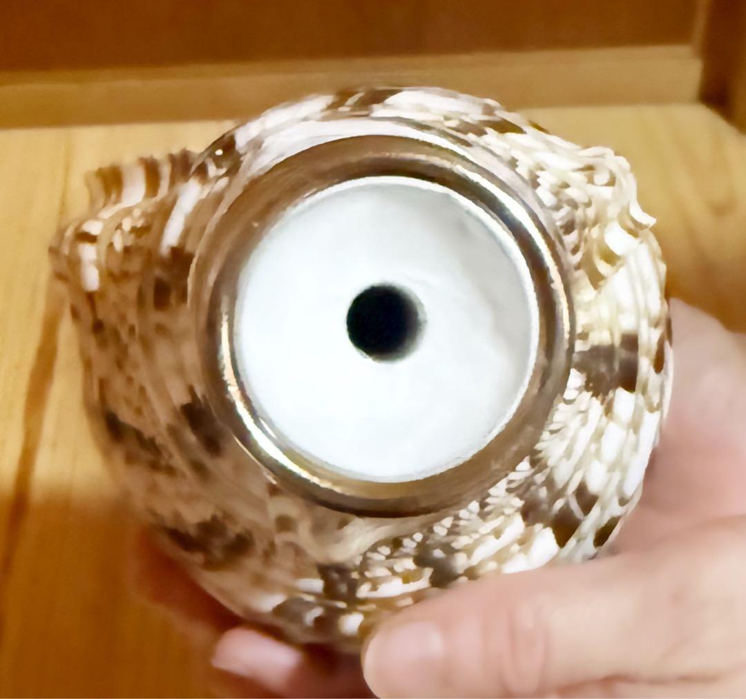 コンパクト修験道法螺貝　山伏　密教　魔除け　熊よけ❣️ホラガイ　ほら貝
