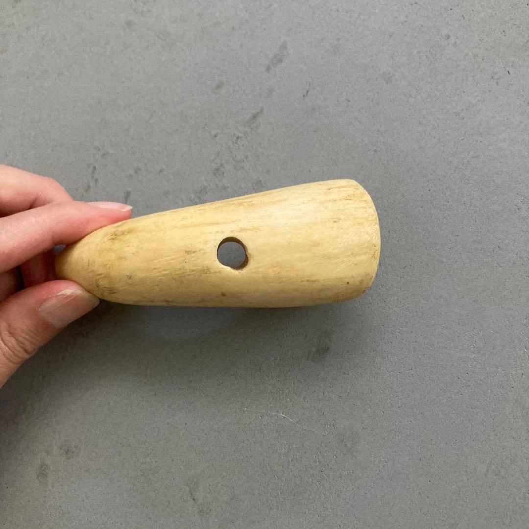 鯨歯？