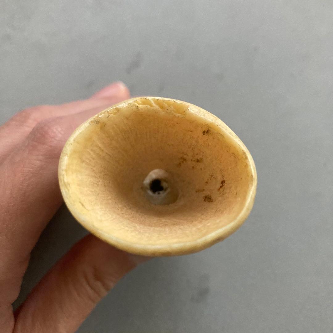 鯨歯？