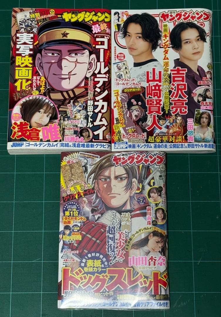 ゴールデンカムイ ヤングジャンプ 他 29冊セット