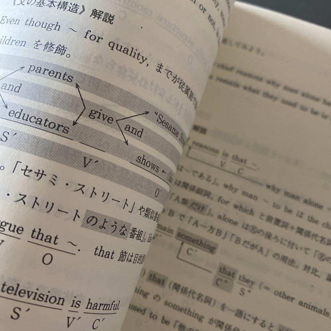 代ゼミテキスト トドメを刺す レベルアップ英語 二学期 峨家崇 代々木ゼミナール