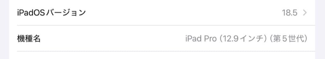 iPadプロ 12.9インチ 第5世代 512GB