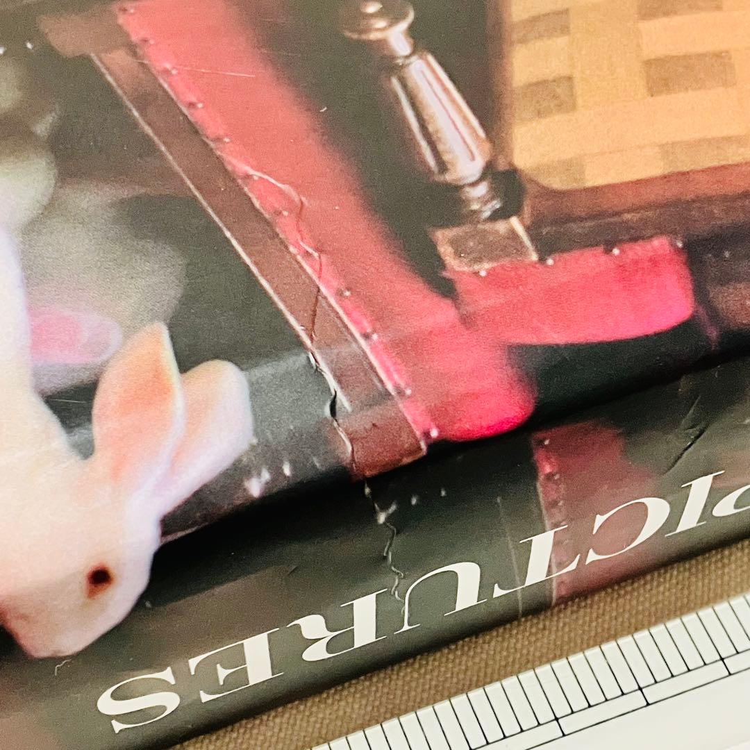 洋書 ☆ TIM WALKER 作品集 PICTURES teNeues 大型本
