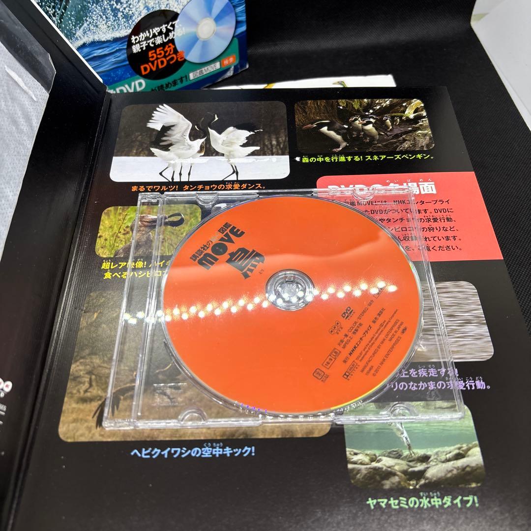 講談社の動く図鑑　move 恐竜2 最新研究　8冊　DVD付き　全巻カバー付き