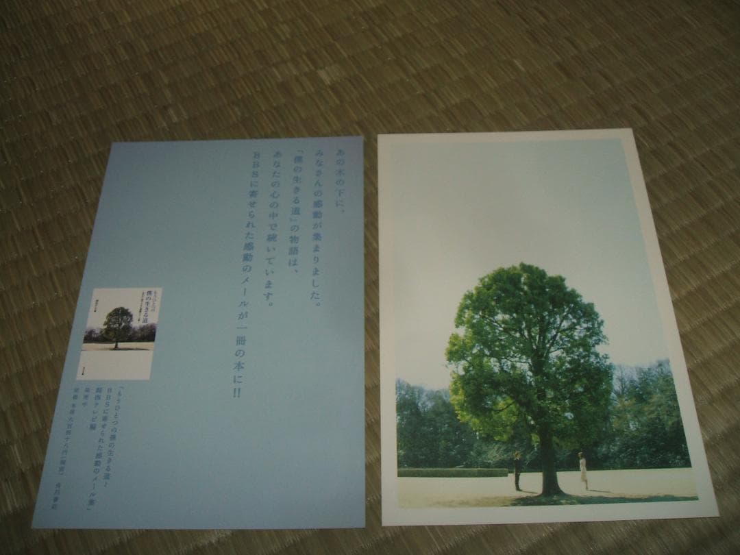 送料込 僕の生きる道 DVD 4枚＋CD 全5枚組BOX 草彅剛 矢田亜希子
