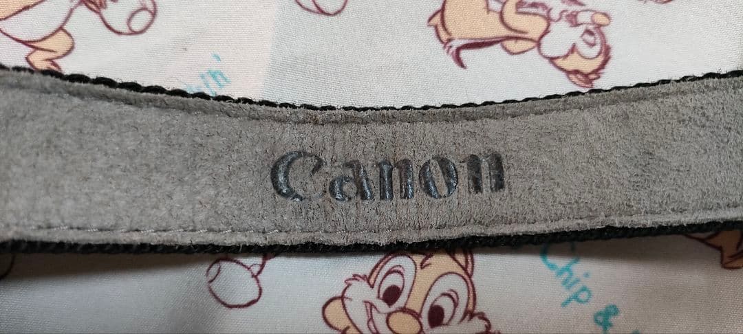 Canon EOS IX50 キャノン 一眼レフカメラ