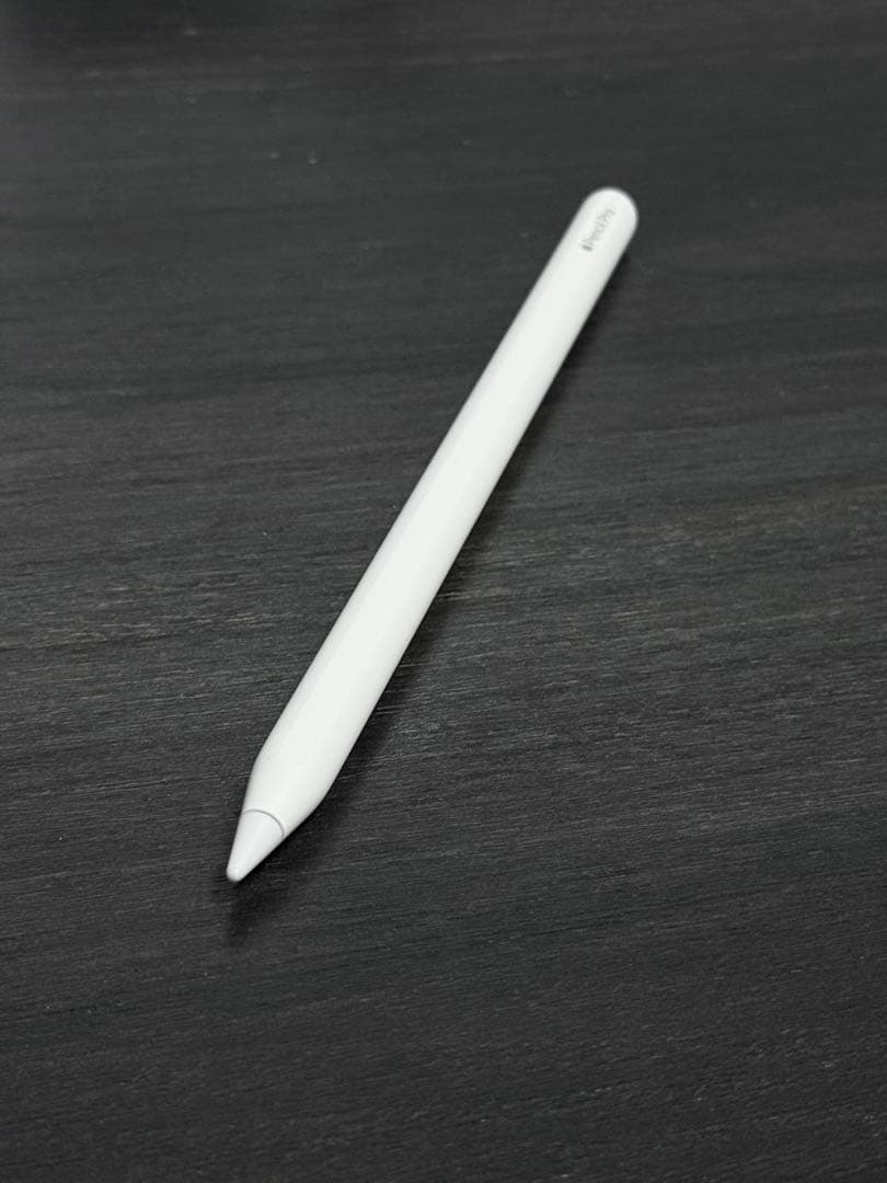 極美品　2024年6月購入　Apple Pencil Pro MX2D3ZA/A