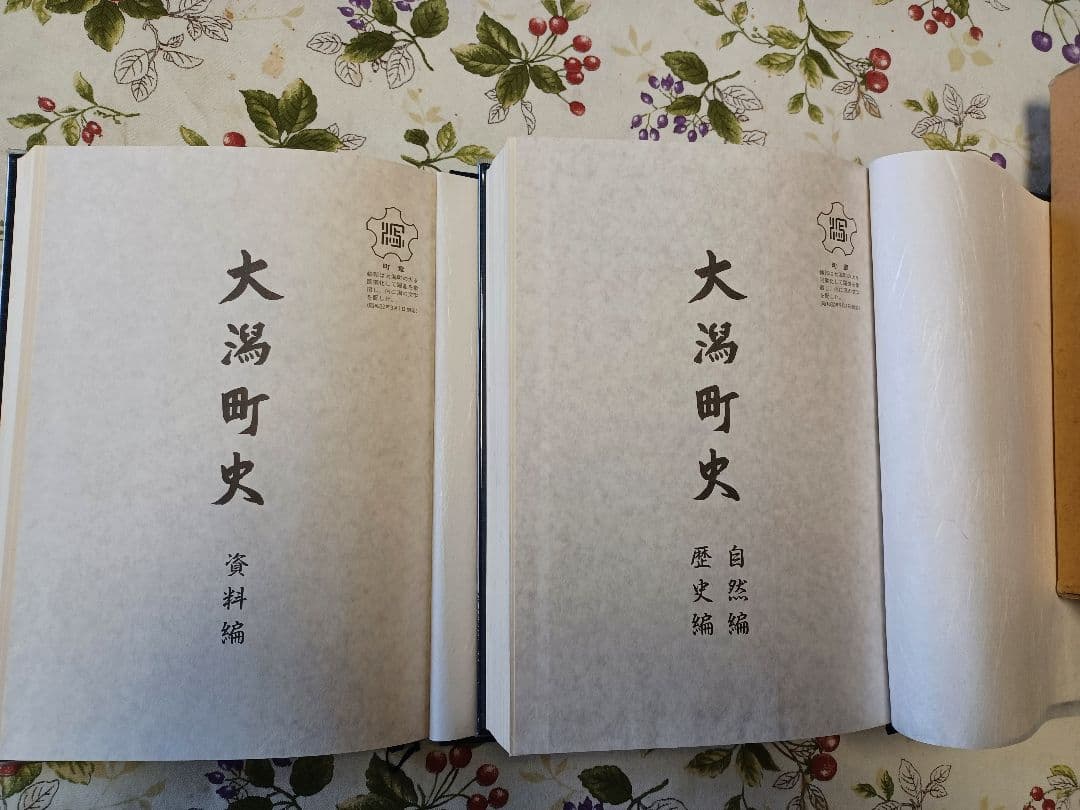 大潟町史