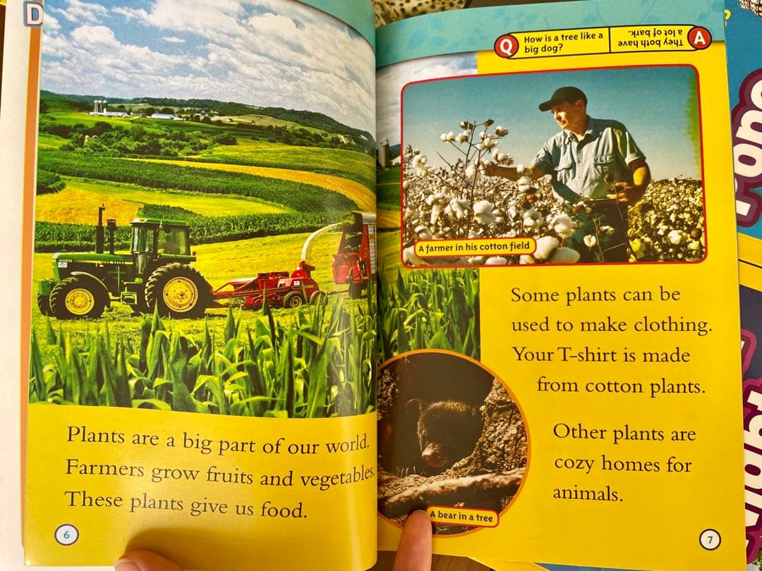 新品National Geographic Kids L1/46冊英語絵本　洋書