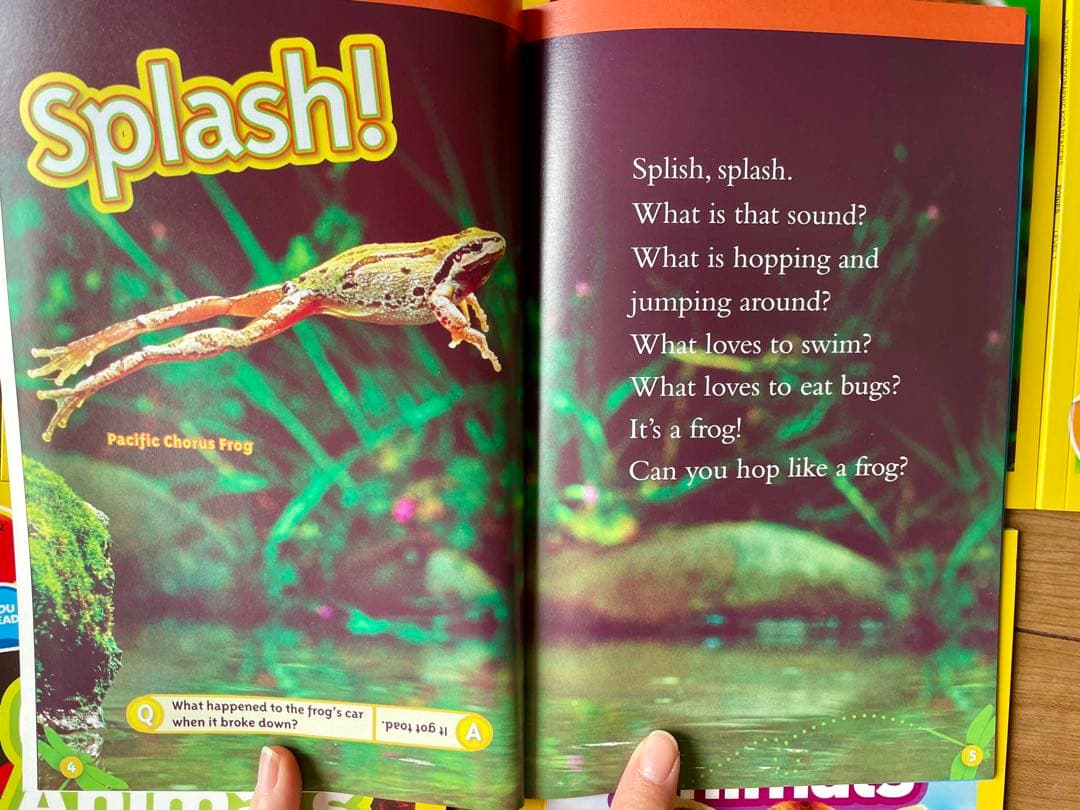 新品National Geographic Kids L1/46冊英語絵本　洋書