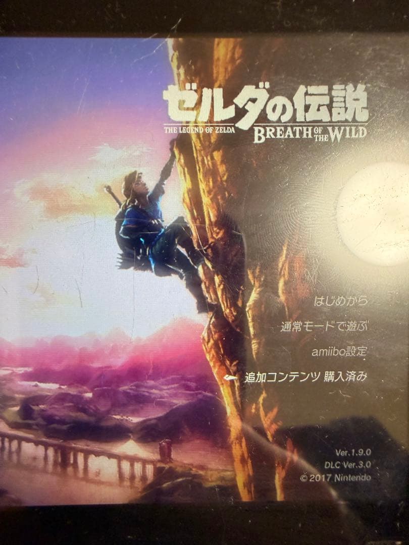 ゼルダの伝説 ブレス オブ ザ ワイルド EXPANSION PASS