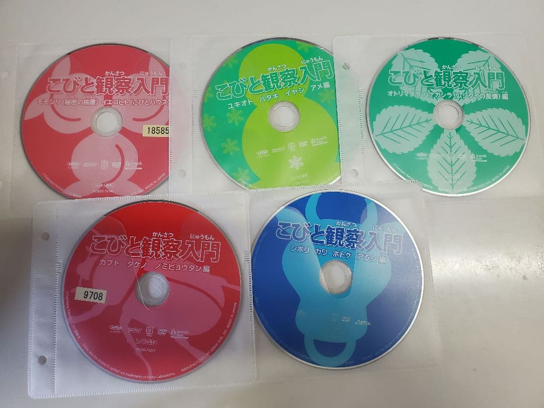 こびと観察入門　DVD
