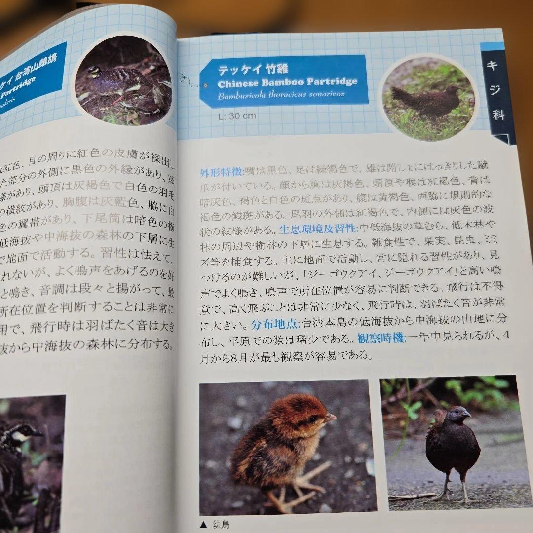 台灣の野鳥300図鑑