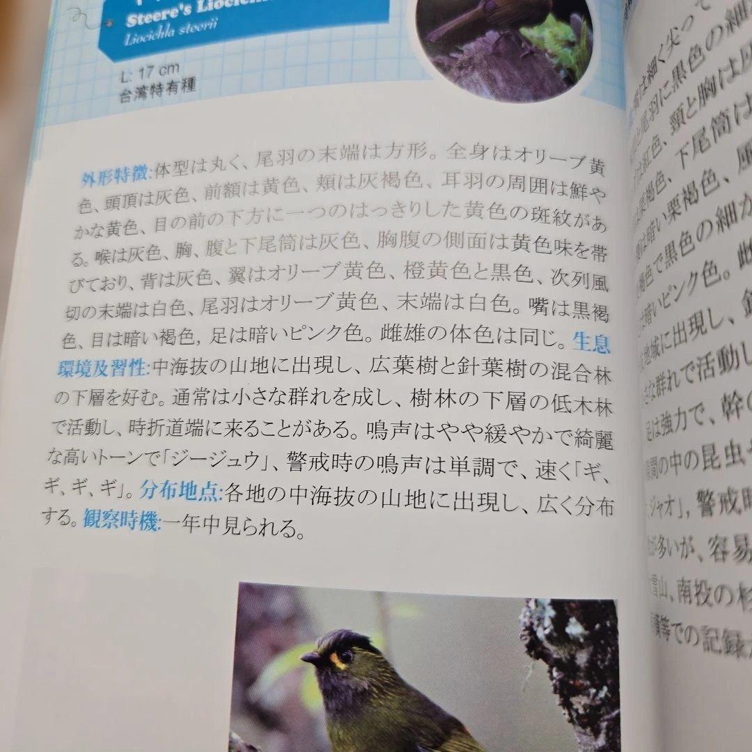 台灣の野鳥300図鑑