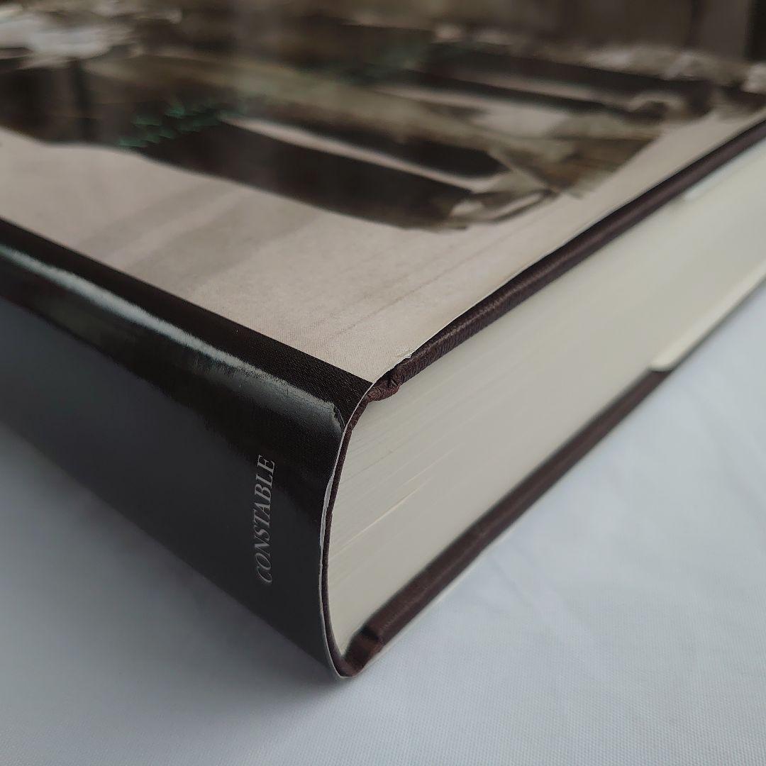 The Domesday Book of Giant Salmon ２巻セット
